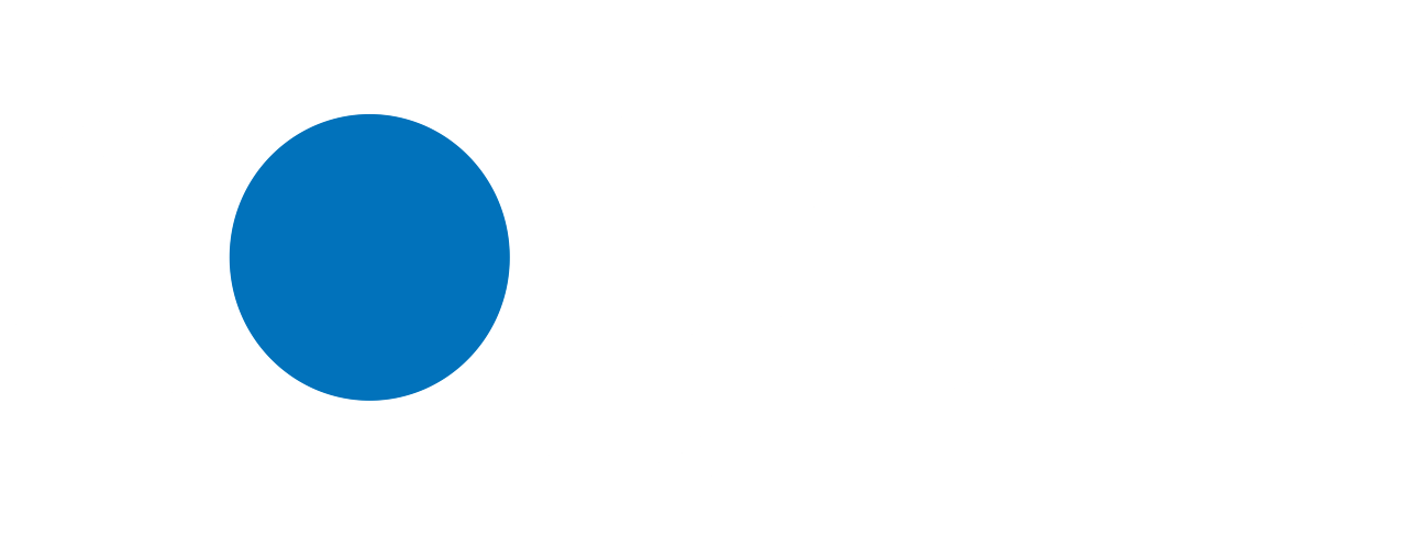 Partner 20